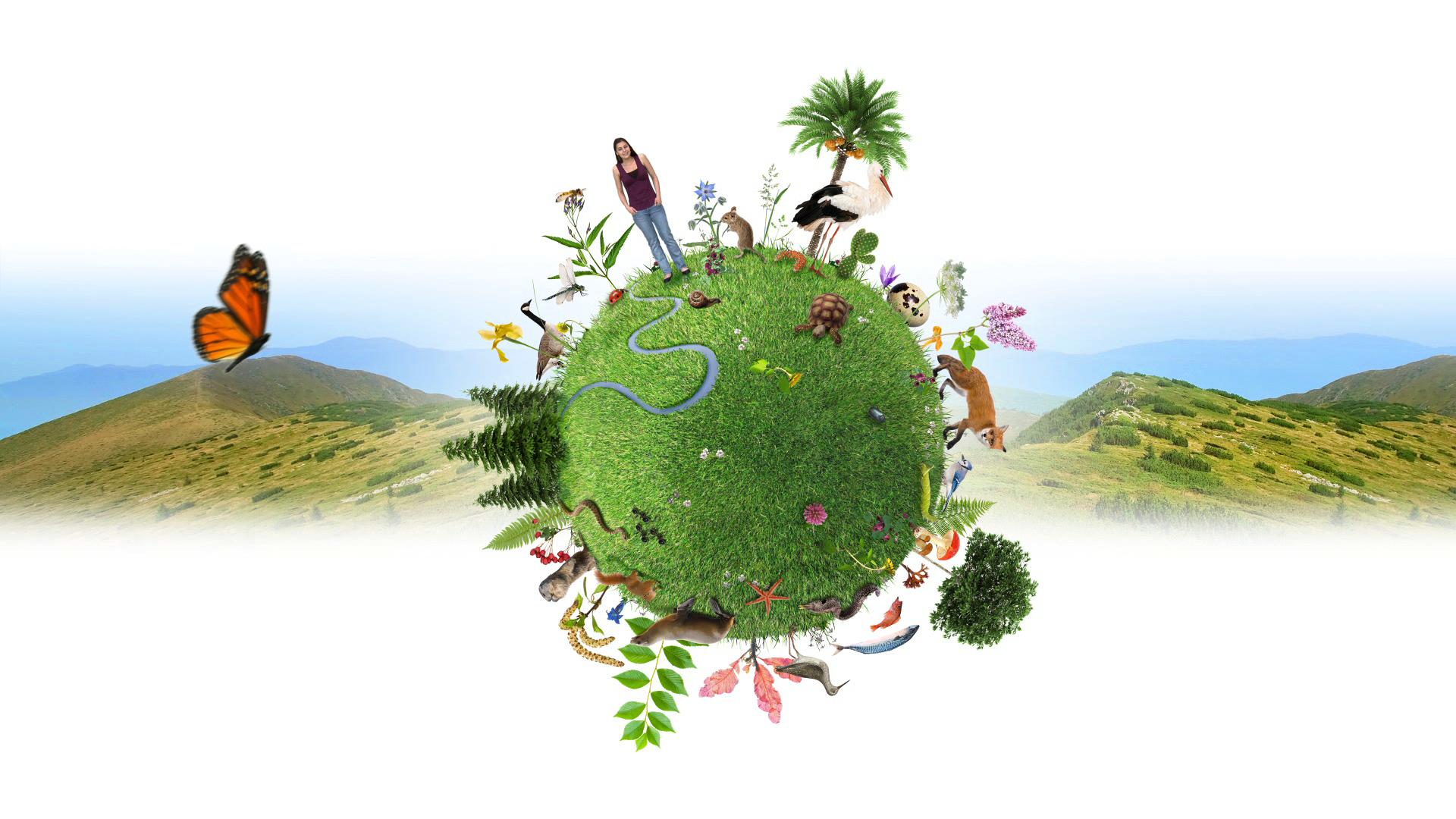 Image d'animation évoquant la relation entre la biodiversité et la vie de la Terre